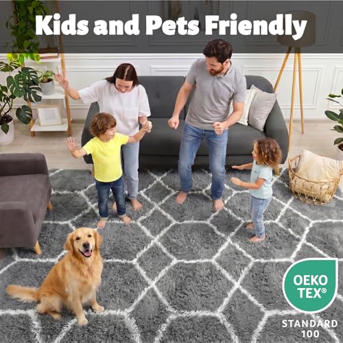 ONASAR Area Rugs for Bedroom Living Room, 4x6 Fluffy Grey and White Floor Rug, Shaggy Geometric Soft Plush Fuzzy Carpet for Nursery Teen Playroom Dorm Office Home Decor Aesthetic - color: 5- Grey / White, size: 4' x 6' (Rectangular)
