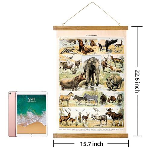 ABoby Vintage Illustrated Wildlife Chart Posters - Educational Animal Wall Art for Schools Homes - Retro Style Painting with Wood Frames - color: Wildlife