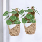 2 Pack 4-inch Hanging Planters for Indoor Plants, Macrame Wall Plant Hanger | Wall Plant Holder, Wall Planters for Indoor Plants (2 Pack, up to 4 inch Pot) - size: Small