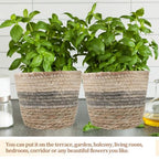 Operitacx 2 Pack Seagrass Plant Basket, Woven Planter Covers with Handles for Indoor Plant Pots and Home Decor 7X6in