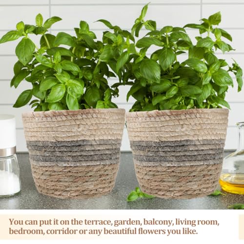 Operitacx 2 Pack Seagrass Plant Basket, Woven Planter Covers with Handles for Indoor Plant Pots and Home Decor 7X6in