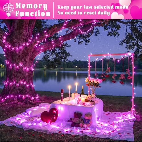 66FT 200 LED Outdoor String Lights, Plug in Connectable Christmas Lights Indoor, Waterproof 8 Modes Twinkle Fairy Lights Clear Wire for Bedroom Home Wedding Patio Patry Decorations, Pink - color: Pink, size: 66ft 200LED