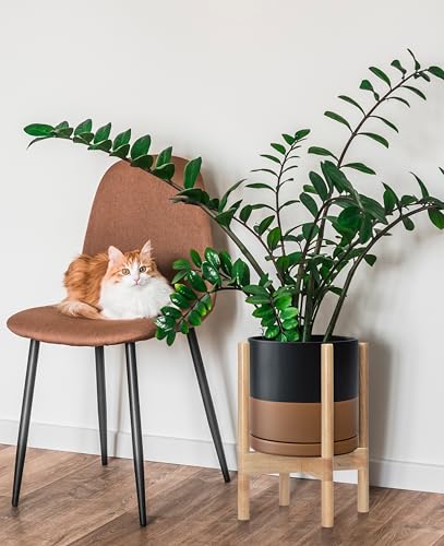 D'vine Dev Ceramic Planter with Natural Stand - 8 Inch Modern Round Flower Pot with Wood Planter Holder, Black/Speckled Tan, 55-B-N-7 - color: Black/Speckled Tan Pot + Natural Stand, size: 8 Inch
