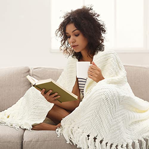HOMEIDEAS Warm Tassel Knit Blanket Throw Size for Couch Sofa Bed, Cream Thick Knitted Armchair Office Chair Throw Blankets, Winter Chunky Blankets(50x60) - color: 750gsm Ivory/Cream