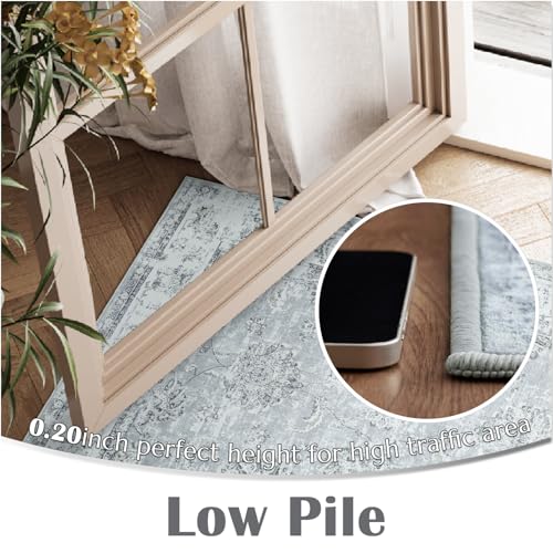 jinchan Fiora Floral Area Rug 2x3, Distressed Vintage Floral Washable Rug with Low-Pile Surface and Non-Slip Backing, for Entryway Kitchen Bathroom Vanity Indoor Foyer and High-Traffic Areas, Grey - color: Distressed Grey, size: 2' x 3' (Buttery Soft)