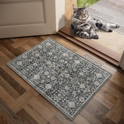 Machine Washable Entryway Small Area Rugs: Soft Non-Slip Low Pile Door Mat Indoor Entrance 2x3 ThrowRug for High-Traffic Areas Kitchen, Hallway, Farmhouse Decor - color: Black/Gold/Multi, size: 2'x3'