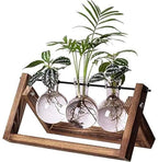 Kingbuy Plant Propagation Station, 3 Glass Bulb Vases with Wooden Stand | Boho Desktop Terrarium, Hydroponics, Home Office Window Sill Decor, Gift for Women Plant Lovers - size: 3 Bulb Vase
