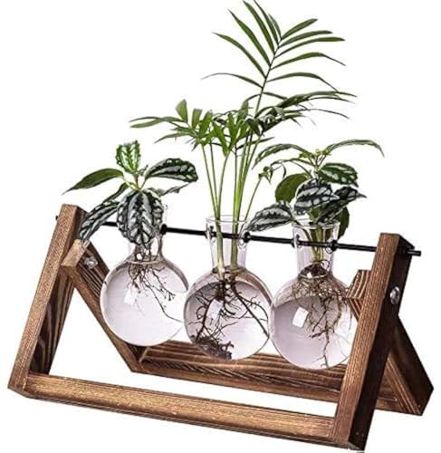 Kingbuy Plant Propagation Station, 3 Glass Bulb Vases with Wooden Stand | Boho Desktop Terrarium, Hydroponics, Home Office Window Sill Decor, Gift for Women Plant Lovers - size: 3 Bulb Vase