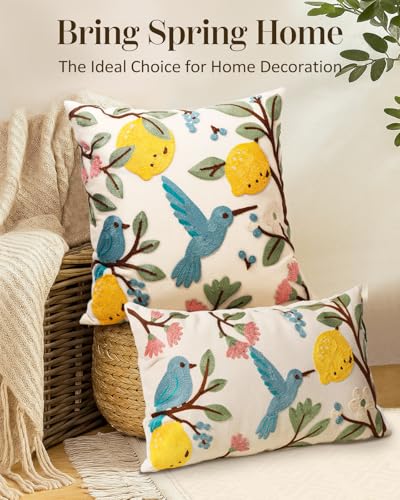 Embroidered Throw Pillow Cover 20x20 Inch - Spring Summer Boho Decorative Pillow Cover with Zipper for Living Room Couch Sofa Bed Aesthetic Design Bird Lemon Cushion Pillowcase - color: Bird Lemon, size: 20" x 20" (Pack of 1)