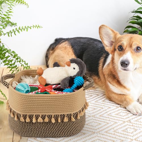 TeoKJ Set of 2 Baskets for Organizing, Decorative Rope Baskets for Storage, Storage for Pets, books, Pillows, Toys & Cloths, Black & Jute - color: Black & Jute, size: 2 Pack