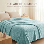 Exclusivo Mezcla Fleece Bed Blanket Queen Size, Lightweight Jacquard for Spring Summer, Soft Cozy Breathable Blankets, Celadon, 90x90 Inches - color: Celadon, size: Queen ( 90x90 IN )