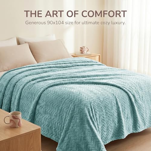 Exclusivo Mezcla Fleece Bed Blanket Queen Size, Lightweight Jacquard for Spring Summer, Soft Cozy Breathable Blankets, Celadon, 90x90 Inches - color: Celadon, size: Queen ( 90x90 IN )