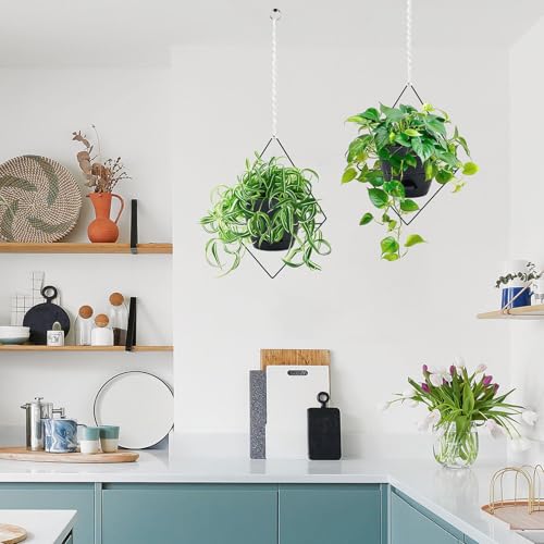 Koalaime Hanging Planters for Indoor Plants, 2 Set Self Watering Hanging Flower Pots, Modern Hanging Plant Baskets with Metal Plant Holder & 6.5 Inch Plastic Pots for Garden Home Decor (Black) - color: Black Frame Black Pot