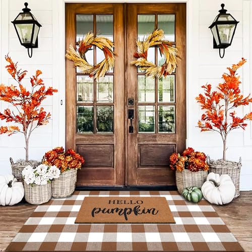 Homydecor Buffalo Plaid Outdoor Rugs, 3'x5' Coffe and White Checkered Area Rug, Layering Rug for Hello/Welcome Door Mat, Washable Cotton Woven Farmhouse Mat for Front Porch Décor - color: Coffee & White Plaid, size: 3' x 5' (Rectangular)