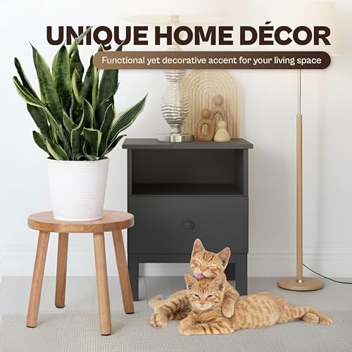 11.8" Wooden Stool Small Round, Solid Wood Plant Stand Indoor, Mini Wood Side Table for Living Room Bedroom Bathroom, Rustic Farmhouse Decorative Stool (Natural) - color: Natural