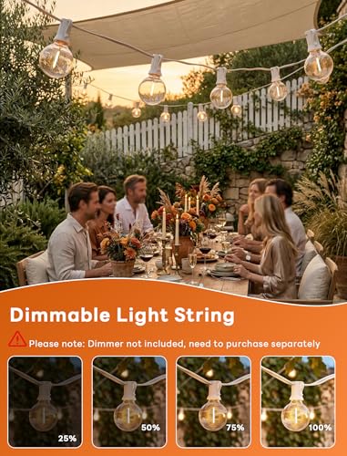Abeja LED Outdoor String Lights, 50FT G40 Patio String Lights with 52 Dimmable Shatterproof Bulbs, Waterproof Backyard Outdoor Hanging Lights for Backyard, Bistro, Porch, Deck Decor - color: Warm White-White, size: 50FT