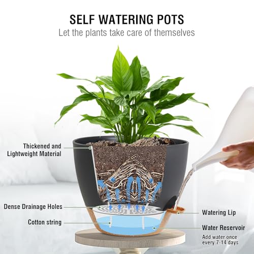 Meowell 10 inch Self Watering Hanging Planters, 2 Pack Hanging Flower Pots for Indoor Outdoor Plants, Hanging Baskets with Drainage Holes & 2 Kinds of Plant Hangers for Garden Home Decor, Black Brown - color: Black With Brown
