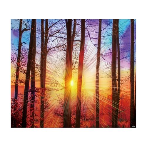 Shrub Sunshine Tapestry Large Wall Hanging for Bedroom Living Room Nature Decor - color: Forest Sunrise, size: 59.1"L x 51.2"W