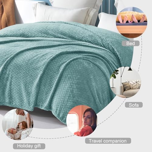 Exclusivo Mezcla Fleece Twin Size Blanket for Bed, 60x80 Inches Soft Cozy Jacquard Flannel Blankets, Lightweight Fuzzy Plush for Women, Celadon - color: Celadon, size: Twin ( 60x80 IN )