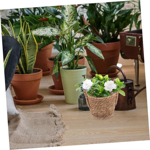 BESPORTBLE Woven Storage Basket Seagrass Belly Basket for Plants Boho Decor Versatile Wicker Planter Farmhouse Charm for Home and Picnic Use