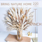 220PCS Natural Dried Pampas Grass Boho Home Decor Bouquet Phragmites Dried Flowers Bouquet for Wedding Floral Arrangements Home Decorations (220PCS) - size: 220 Pcs