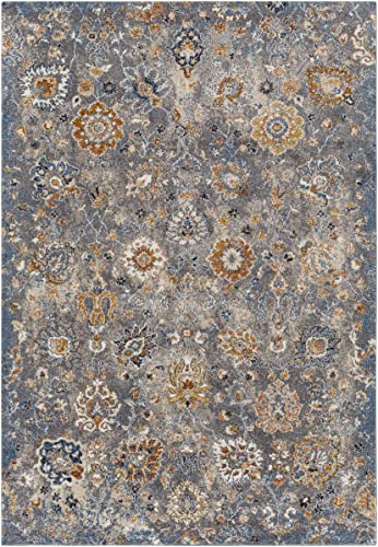 Hauteloom Nimes Living Room, Bedroom Area Rug - Floral Medallion Distressed Border Faded - Traditional Oriental Transitional - High Pile - Gray, Beige, Cream, Blue, Brown - 2' x 2'11" - color: Gray, Beige, Cream / Cochituate, size: 1'11" x 2'11" (Rectangu