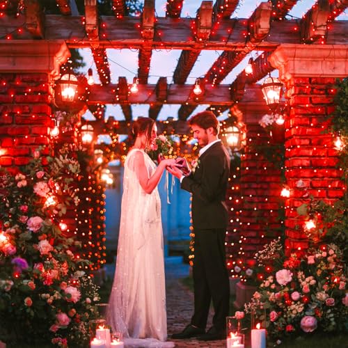 100FT 300 LED Christmas Lights Outdoor, Plug in String Lights for Outside Waterproof with 8 Modes, Connectable Green Wire Fairy Twinkle Lights for Indoor Patio Garden Xmas Holiday Decorations, Red - color: Red, size: 100FT 300 LED