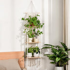 Bamworld Plant Wall Shelf Boho Plant Stand Window Plant Shelf 3 Tier Macrame Plant Hangers Boho Room Decor Hanging Shelf for Bedroom, Living Room, Balcony - size: 3Tier