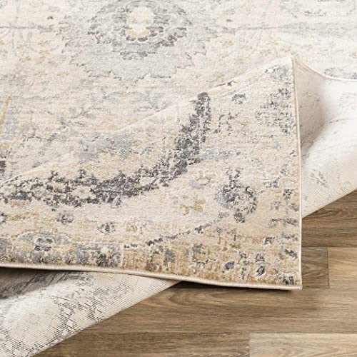 Hauteloom Obsidian Rustic Farmhouse Living Room Bedroom Dining Room Area Rug - Turkish Style - Traditional Floral Look - Bluish Medium Grey, Beige, Light Brown, Cream, Black - 4'3" x 5'7" - color: Beige, Black, Charcoal / Sunnyside, size: 4'2" x 5'7" (Rec