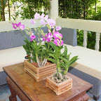Set of 2 Wooden Orchid Baskets with Hangers, Hanging Vanda Baskets for Outside - size: Set of 2