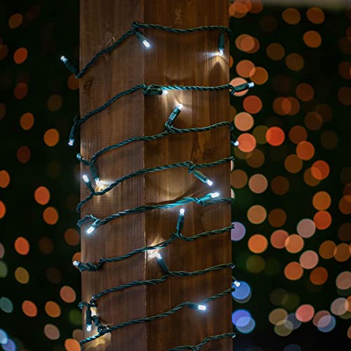 Novelty Lights 25ft 50 LED Pure White Christmas Lights Outdoor/Indoor, 6" Spacing, Green Wire String Lights for Festive Xmas Lighting, IP55, UL Listed, Dimmable, Connectable - color: Pure White