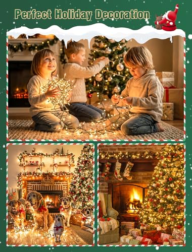 Hopolon Clear Christmas Lights Set 2 Pack 50 Count 13 Feet Incandescent Bulb Green Wire Mini String Lights for Indoor Outdoor Christmas Tree Garland Birthday Wedding Festival Decoration, Warm White - color: Clear,Green Wire, size: 2PACK, 50 count