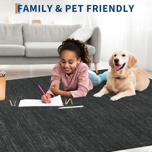 9x12 Area Rugs for Living Room Washable Solid Large Bedroom Rugs Non Slip Soft Modern Abstract Dining Room Throw Carpet Minimalist Classic Plain Area Rug for Nursery Kitchen Home Office, Black 9'x12' - color: Black, size: 9' x 12' (Rectangular)