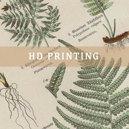 2 Pack Vintage Poster Hanger Frame, Retro Style Wall Decor Art Painting, Patterns are Printed on Linen Without Fading, Living Room Office Classroom Bedroom Playroom Apartment Decor. (Ferns) - color: 2 x Fern Botanical, size: 23"L x 16"W