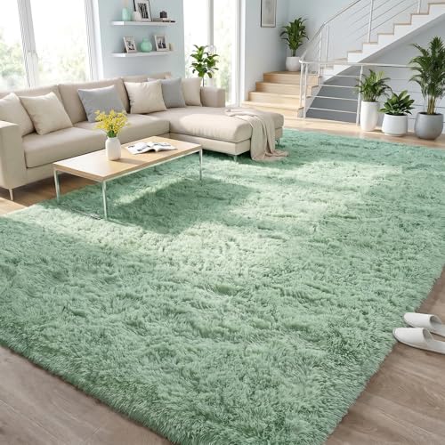 DweIke Fluffy Sage Green Rugs for Bedroom Living Room, 3x5 Feet Soft Plush Shaggy Light Mint Green Girls Boys Kids Rug, Non-Slip and Machine Washable Carpet for Dorm Nursery Classroom Decor - color: Green, size: 3 Ft X 5 Ft