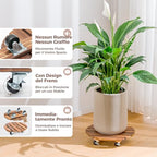 Bamworld14 Inch Wood Plant Caddy with Wheels – Heavy-Duty Plant Dolly with 240 Lbs Capacity, 360° Lockable Wheels for Large Plant Pots, Heavy Objects, Ideal for Indoor and Outdoor Use 2-Pack - size: 14inch- 2pack