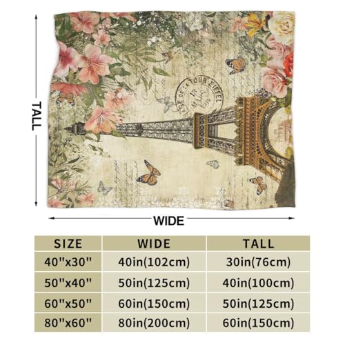 Vintage Paris Throw Blanket, Floral Eiffel Tower French Cityscape European Culture Element Warm Cozy Flannel Soft Blanket for Couch Chair Sofa Bed Bedroom Living Room Car for All Season 30"x 40" - color: Country07, size: 30X40 inch