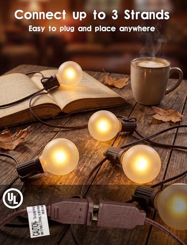 SUNSGNE 25Ft Outdoor Edison String Lights G40 Globe String Lights with 27 Frosted White Bulbs, Waterproof Connectable Hanging String Light for Christmas Patio House Backyard Balcony Party, Brown Wire - color: Frosted White-Brown, size: 25 Ft