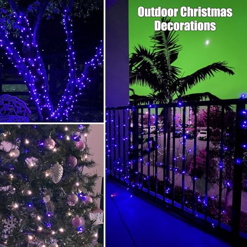 HISHINY Christmas Lights 100 Count Blue Christmas Tree String Lights with White Wire for Outdoor Indoor Christmas Decorations Wedding Decorations Valentines Day Decor,UL Certified (21feet) - color: Blue