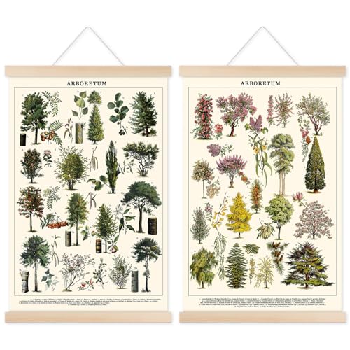 Chenkaiyang Vintage Tree Poster (2 Pcs), Green Tree Wall Art Prints, Rustic Retro Tree Chart, Living Room Decor - color: tree
