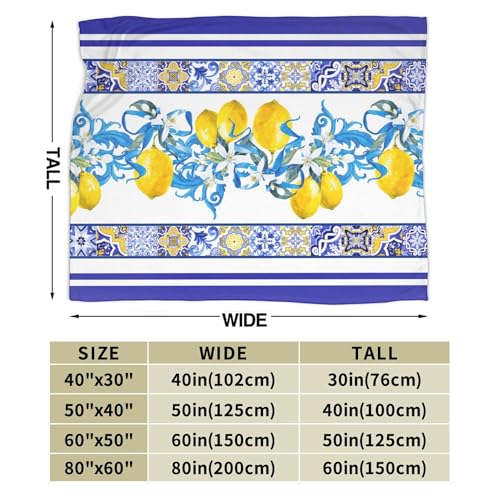 Blue Lemon Throw Blanket for Couch Chair Sofa Bed, Flannel Soft Mediterranean Ceramic Tiles Elegant Baroque Blanket for Bedroom Living Room Car, Warm Cozy Farmhouse Blankets for All Season 30"x 40" - color: Lemon03, size: 30X40 inch
