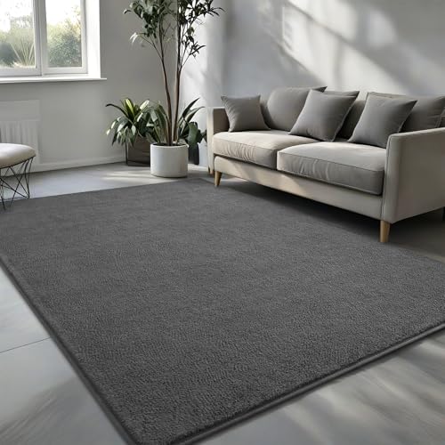 Pettop 4x6 ft Dark Grey Area Rugs for Bedroom Living Room, Washable Memory Foam Indoor Carpet, Modern Aesthetic Minimalist Non Slip Soft Comfy Carpet for Boys Girls Dorm Home Decor - color: Dark Grey, size: 4' X 6' (Rectangular)