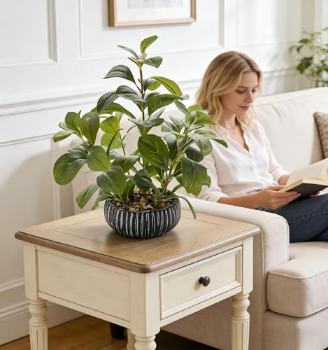 14" Artificial Broad Leaf Potted Plant in Black and White Ceramic Bowl Planter Lifelike Two-Tone Leaves Small Tabletop Fake Plant for Desk Bathroom Shelf Decor - color: Ficus