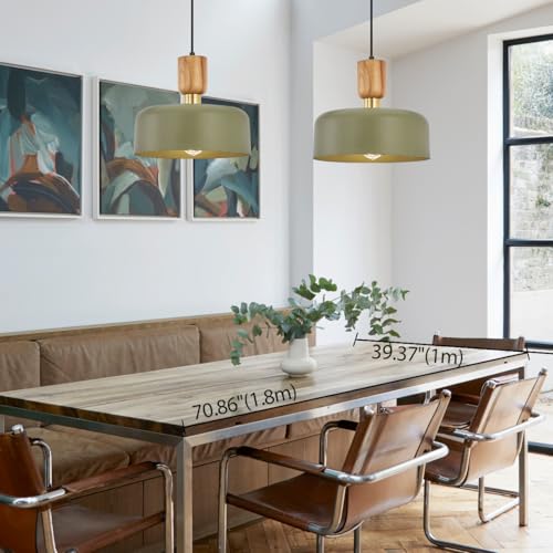 Contemporary Pendant Lighting,12 inch Pendant Lamp,Wood and Brass Accent,Adjustable Metal Hanging Light Fixture for Kitchen, Dining Room, Green - color: Deep Green