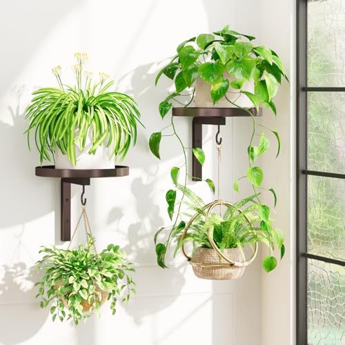 iDavosic.ly Wall Plant Holder Set of 2 for Indoor Outdoor, Metal Hanger with 2 Hooks, Floating Flower Display Stand for Window, Space Saving & Easy to Assemble (Pots/Plants Not Included), Bronze - color: Bronze, size: 2 Pack