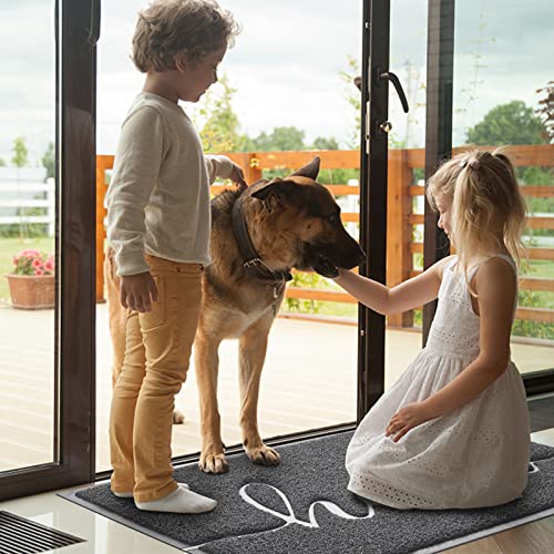 Door Mat (32"x20",Dark Grey), Welcome Mat Low Profile Front Doormat Non Slip Mats for Entryway, Patio, High Traffic Areas - color: Dark Grey-hello, size: 1'8" x 2'8" (Rectangular)