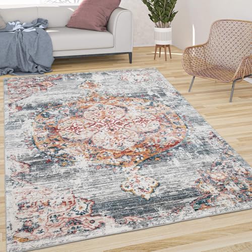 Paco Home Vintage Rug Oriental Design with Modern Ornaments in Faded Grey, Size: 4' x 5'7" - color: Grey, size: 4' x 5'7" (Rectangular)
