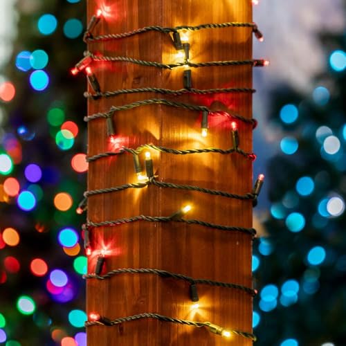 Novelty Lights 25ft 50 LED Red/Warm White Christmas Lights Outdoor/Indoor, 6" Spacing, Green Wire String Lights for Festive Xmas Lighting, IP55, UL Listed, Dimmable, Connectable - color: Red/Warm White