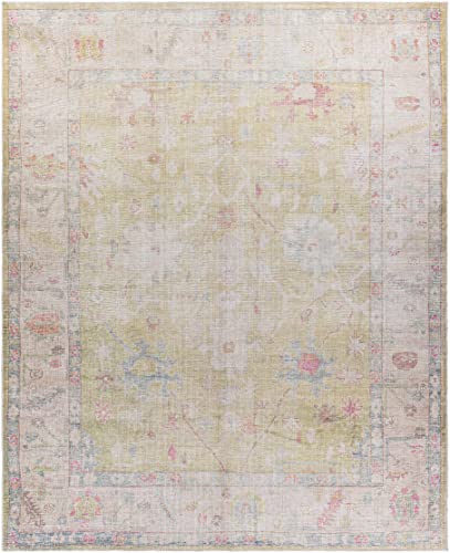 Hauteloom Zinnia Vintage Distressed Faded Area Rug - Oriental Bohemian Turkish Floral Carpet - Machine Washable Rug - Stain Resistant - Pet Friendly - Pink, Green, Blue - 5'3" x 7' (5x7) - color: Light Brown, Medium Gray, Dark Brown / Bozkurt, size: 5'3"