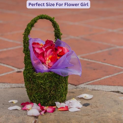 SuperMoss (55591) Vista Deco Moss Basket – Decorative Planter with Liner for Indoor & Outdoor Floral Arrangements – Ideal for Succulents, Orchids & Gifts, Small 4.5″ x 5.5″ x 8″, Fresh Green